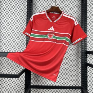 Camisa Seleção País de Gales Home 26/27